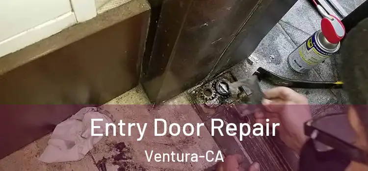  Entry Door Repair Ventura-CA