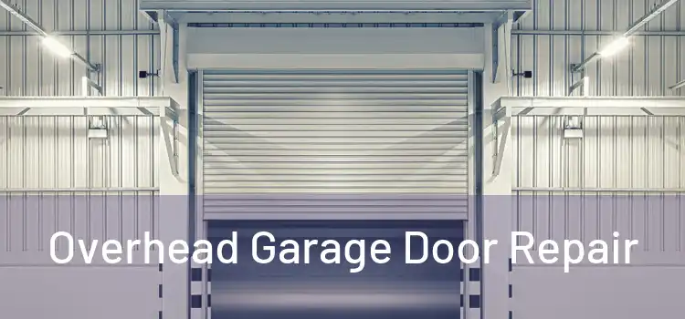  Overhead Garage Door Repair 